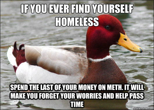 If you ever find yourself homeless Spend the last of your money on meth. It will make you forget your worries and help pass time  Malicious Advice Mallard