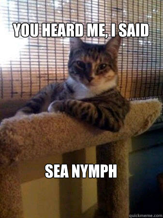 You heard me, I said 






Sea nymph   The Most Interesting Cat in the World