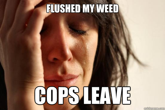 Flushed my weed COPS LEAVE  First World Problems