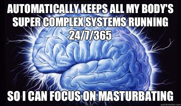 Automatically keeps all my body's super complex systems running 24/7/365 So I can focus on masturbating  Brilliant Blue Brain