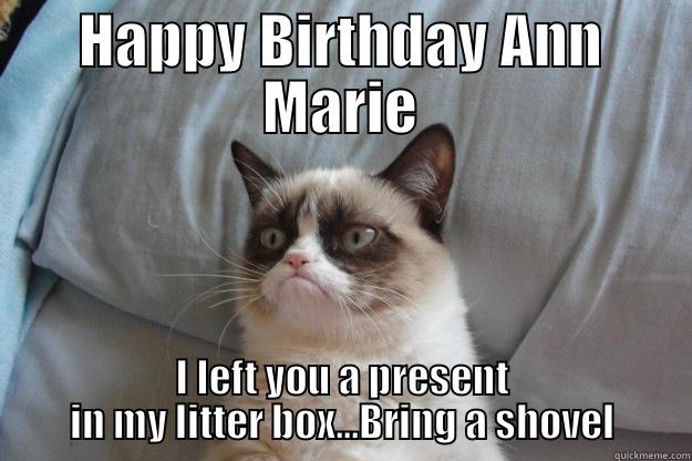 HAPPY BIRTHDAY ANN MARIE I LEFT YOU A PRESENT IN MY LITTER BOX...BRING A SHOVEL Grumpy Cat