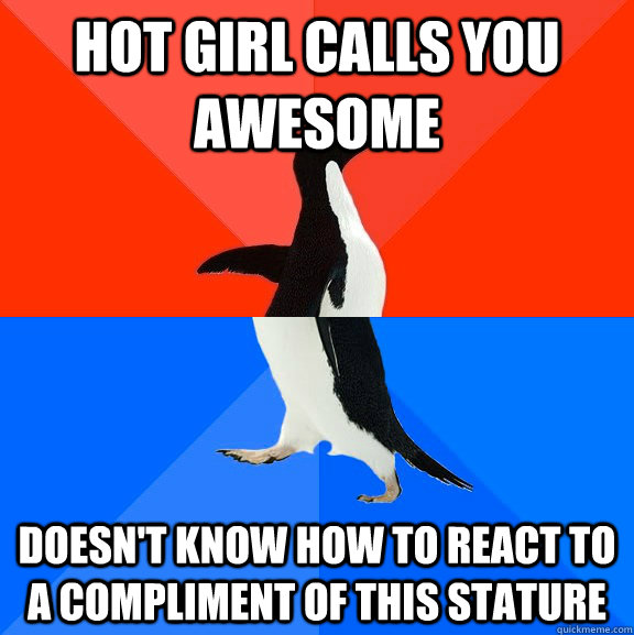 hot girl calls you awesome doesn't know how to react to a compliment of this stature  Socially Awesome Awkward Penguin