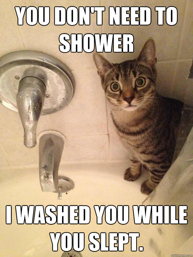 You don't need to shower I washed you while you slept.  Overly attatched cat