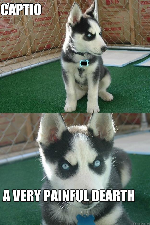 You will die A VERY PAINFUL DEARTH Caption 3 goes here  Insanity puppy