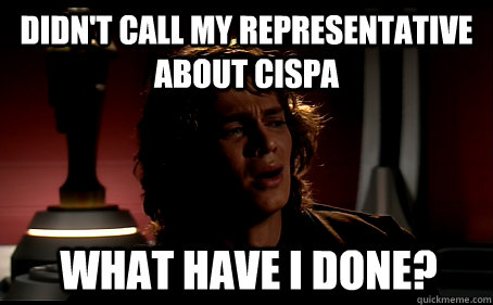 Didn't call my representative about CISPA What have I done?  