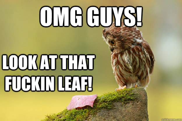 omg guys! look at that fuckin leaf! - omg guys! look at that fuckin leaf!  LOOK AT THAT FUCKIN LEAF
