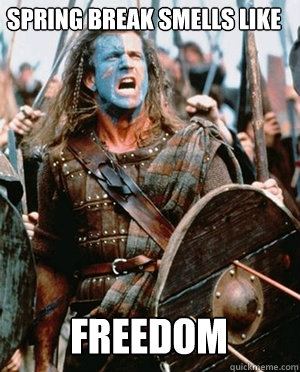 SPRING BREAK SMELLS LIKE FREEDOM  William wallace