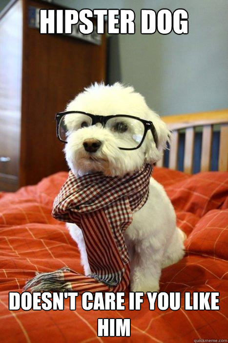 hipster dog doesn't care if you like him  Hipster Dog