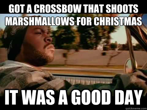 got a crossbow that shoots marshmallows for christmas IT WAS A GOOD DAY  ice cube good day