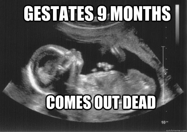 Gestates 9 months Comes out dead - Gestates 9 months Comes out dead  Scumbag stillborn