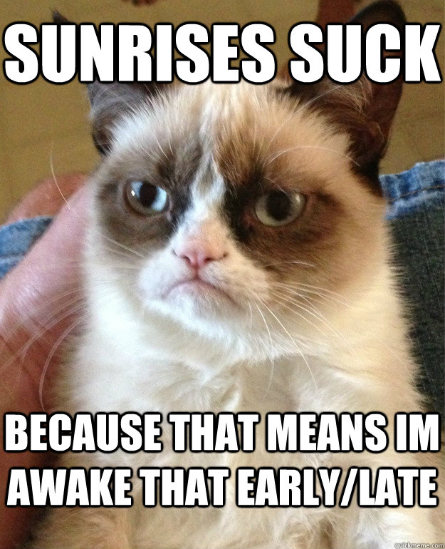 sunrises suck because that means im awake that early/late  Grumpy Cat