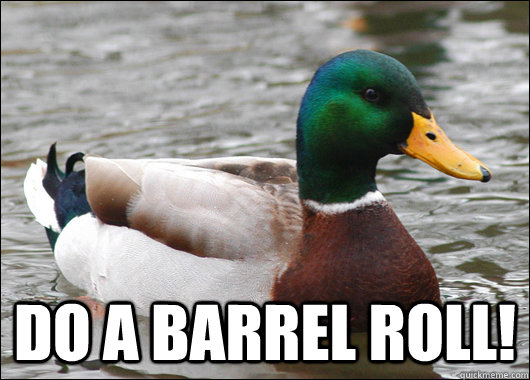  Do a barrel roll!  Actual Advice Mallard