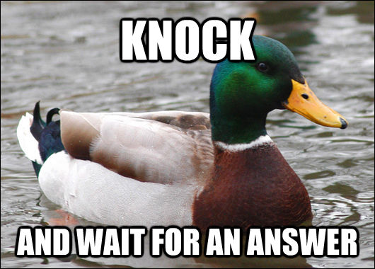KNOCK AND WAIT FOR AN ANSWER  Actual Advice Mallard