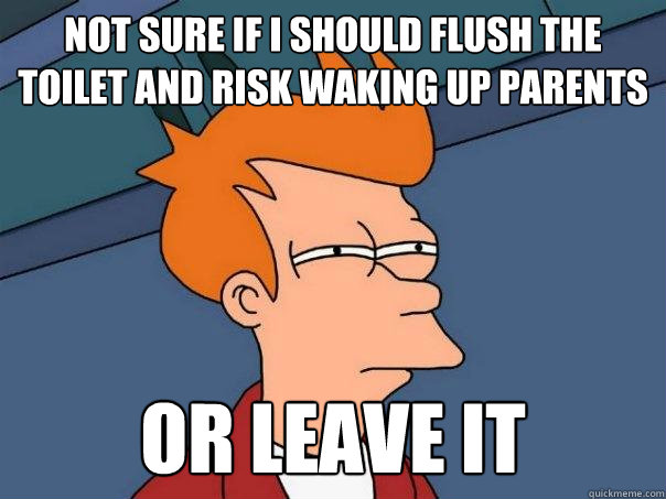 Not Sure If I should flush the toilet and risk waking up parents or leave it - Not Sure If I should flush the toilet and risk waking up parents or leave it  Futurama Fry