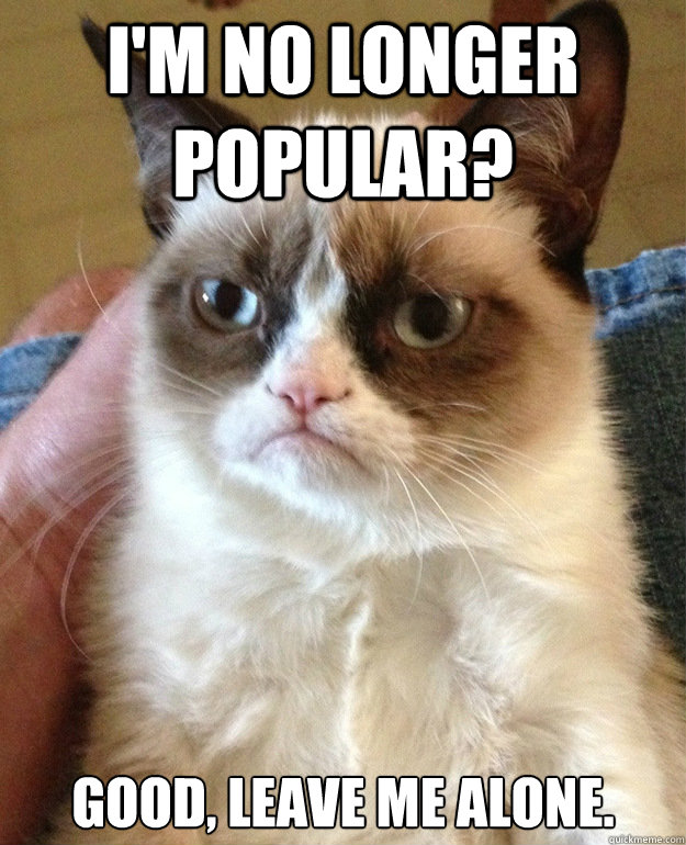 I'm no longer popular? Good, leave me alone.  grumpycat