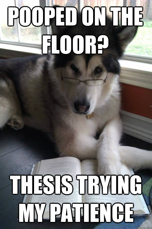 POOPED ON THE FLOOR? THESIS TRYING MY PATIENCE - POOPED ON THE FLOOR? THESIS TRYING MY PATIENCE  Condescending Literary Pun Dog