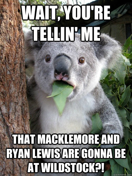 Wait, You're tellin' me That Macklemore and Ryan Lewis are gonna be at wildstock?! - Wait, You're tellin' me That Macklemore and Ryan Lewis are gonna be at wildstock?!  Surprised Koala
