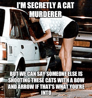 I'm secretly a cat murderer But we can say someone else is shooting these cats with a bow and arrow if that's what you're into  Karma Whore