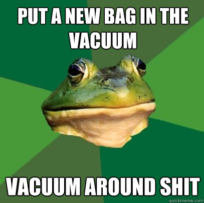 put a new bag in the vacuum
 vacuum around shit  Foul Bachelor Frog