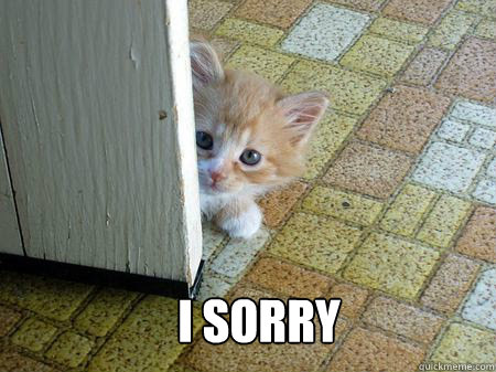  I Sorry  -  I Sorry   Sorry Cat