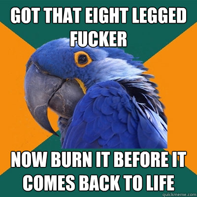 got that eight legged fucker now burn it before it comes back to life  Paranoid Parrot