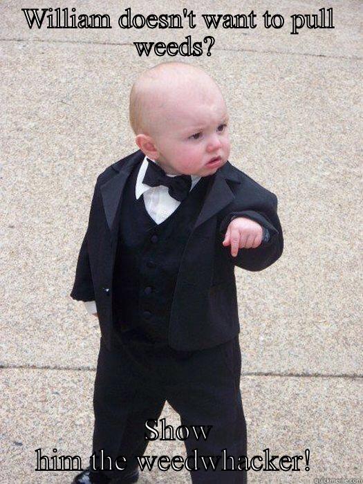 WILLIAM DOESN'T WANT TO PULL WEEDS?  SHOW HIM THE WEEDWHACKER!  Baby Godfather