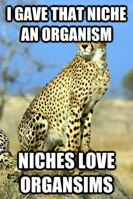 I gave that niche an organism niches love organsims - I gave that niche an organism niches love organsims  Misc