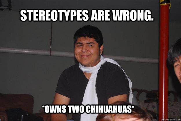 STEREOTYPES ARE WRONG. *OWNS TWO CHIHUAHUAS* - STEREOTYPES ARE WRONG. *OWNS TWO CHIHUAHUAS*  Mexican