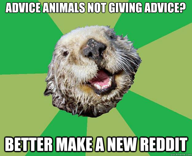 Advice Animals not giving advice? better make a new reddit - Advice Animals not giving advice? better make a new reddit  OCD Otter