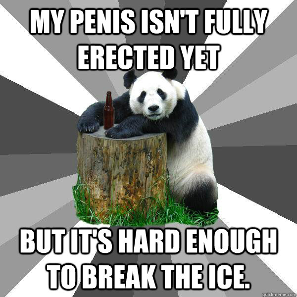 My penis isn't fully erected yet But it's hard enough to break the ice.  Pickup-Line Panda