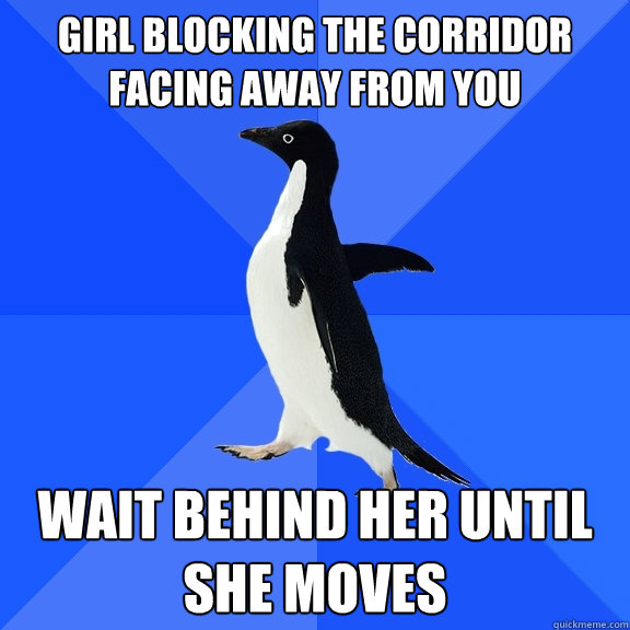 girl blocking the corridor facing away from you wait behind her until she moves  Socially Awkward Penguin