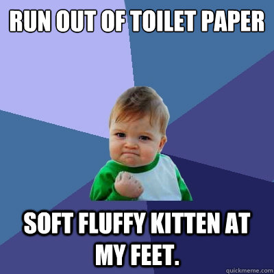 Run out of toilet paper Soft fluffy kitten at my feet.  - Run out of toilet paper Soft fluffy kitten at my feet.   Success Kid