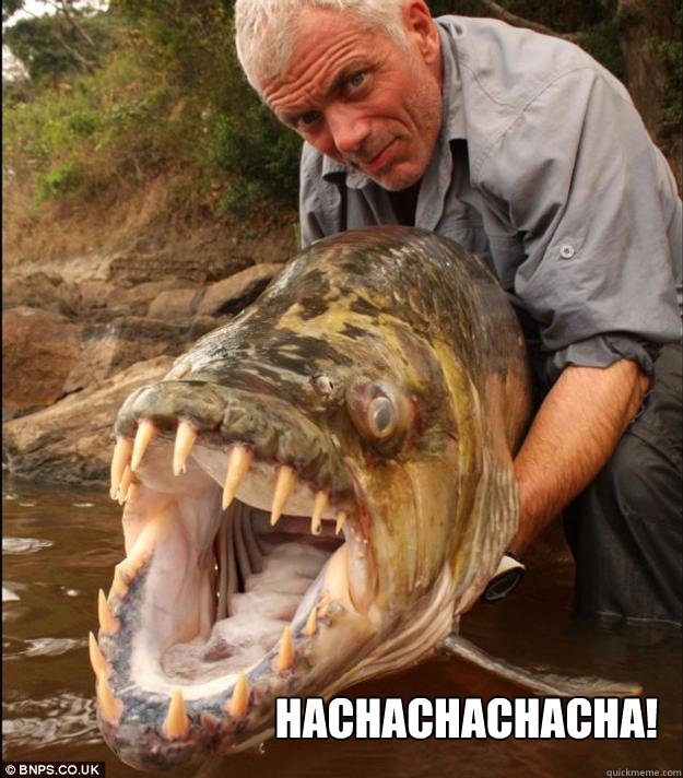 Hachachachacha!  Comedy Fish