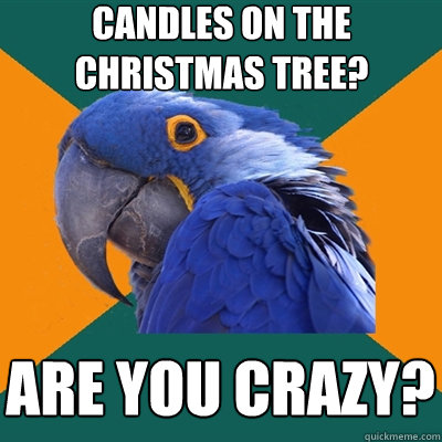 candles on the christmas tree? are you crazy?  Paranoid Parrot