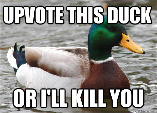 Upvote this duck Or I'll kill you  Actual Advice Mallard