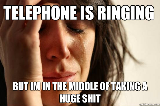 Telephone is ringing  but im in the middle of taking a huge shit  First World Problems