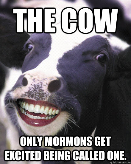 The Cow Only mormons get excited being called one. - The Cow Only mormons get excited being called one.  Misc