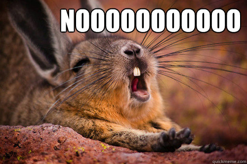 NOOOOOOOOOOO  - NOOOOOOOOOOO   viscacha nooo