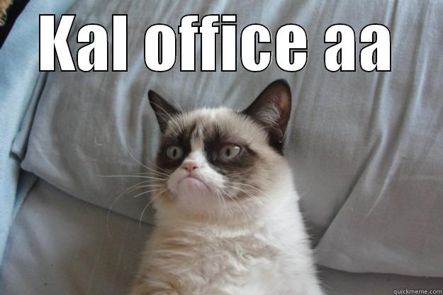 KAL OFFICE AA  Grumpy Cat