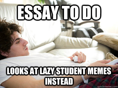 Essay to do Looks at lazy student memes instead  Lazy college student