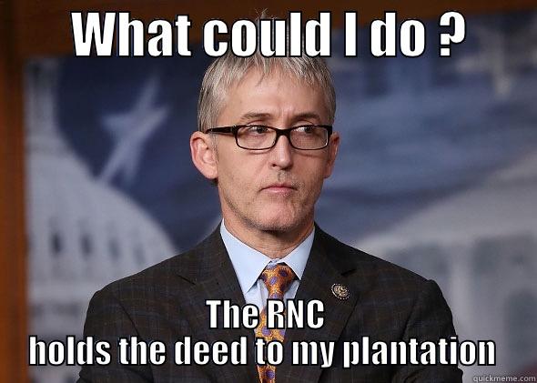        WHAT COULD I DO ?        THE RNC HOLDS THE DEED TO MY PLANTATION  Misc