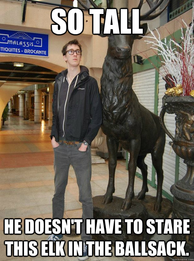So tall He doesn't have to stare this elk in the ballsack. - So tall He doesn't have to stare this elk in the ballsack.  Really Tall Redditor