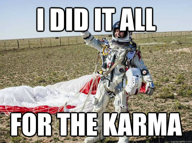 i did it all for the karma - i did it all for the karma  Misc