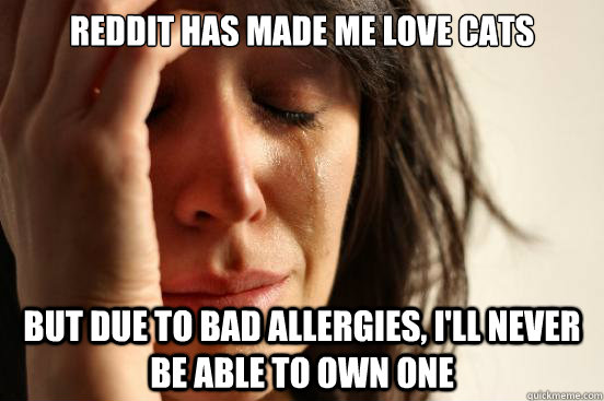 Reddit has made me love cats but due to bad allergies, i'll never be able to own one  First World Problems
