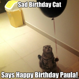 Sad Birthday Cat Says Happy Birthday Paula!
  Sad Birthday Cat