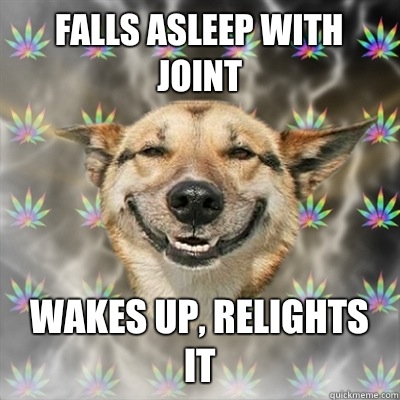 Falls asleep with joint wakes up, relights it  Stoner Dog