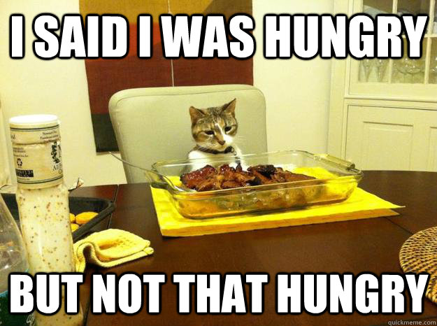 I said i was hungry but not that hungry  Dinner Time Blues Cat