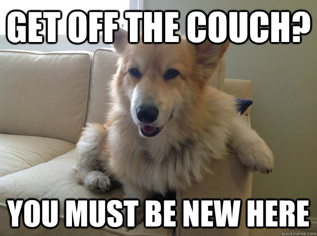 Get off the couch? You must be new here - Get off the couch? You must be new here  Bad Corgi