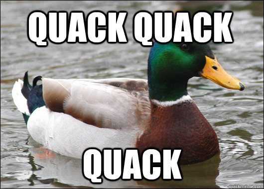 Quack quack quack   Actual Advice Mallard