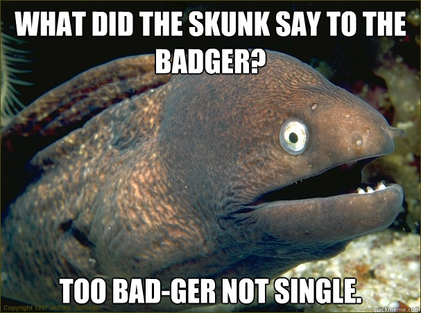 What did the skunk say to the badger? too bad-ger not single.  Bad Joke Eel